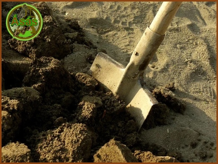 Az egyik legjellemzőbb őszi kerti munka az ásás